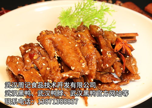 攜手武漢周記食品技術開發，共筑卓越未來